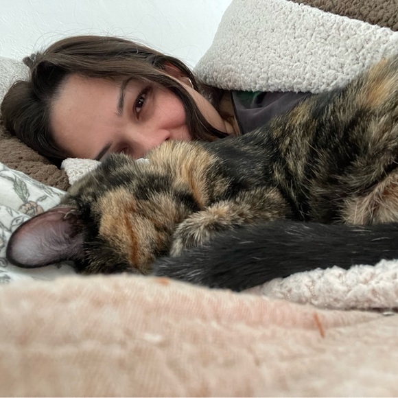 Welcome to Lively Lumina - Picture 6 of 9